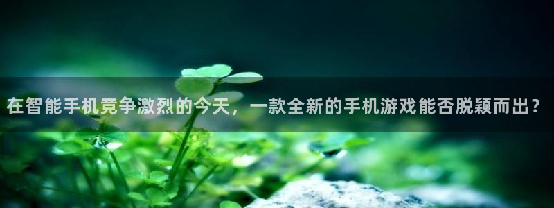 鼎点娱乐app下载：在智能手机竞争激烈的今天，一款全新的手机