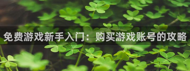 鼎点娱乐娱乐：免费游戏新手入门：购买游戏账号的攻略