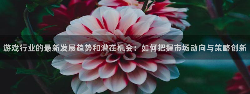 鼎点娱乐注册账号：游戏行业的最新发展趋势和潜在机会：如何把握
