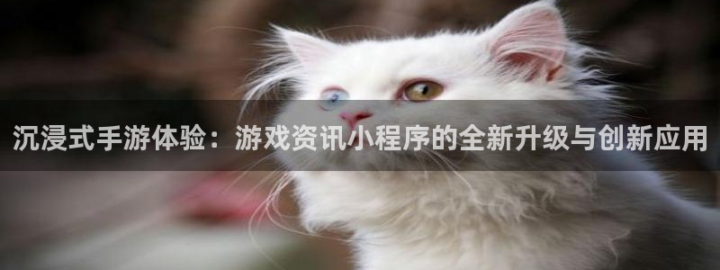 鼎点娱乐平台负责人：沉浸式手游体验：游戏资讯小程序的全新升级