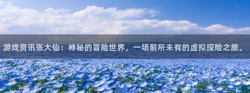 鼎点娱乐2登录：游戏资讯张大仙：神秘的冒险世界，一场前所未有