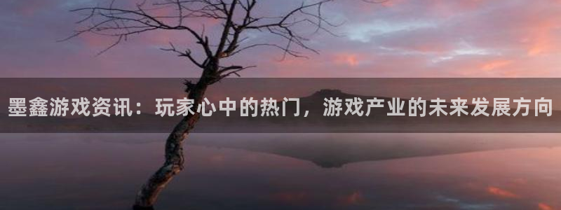 鼎点娱乐平台官网客服电话：墨鑫游戏资讯：玩家心中的热门，游戏