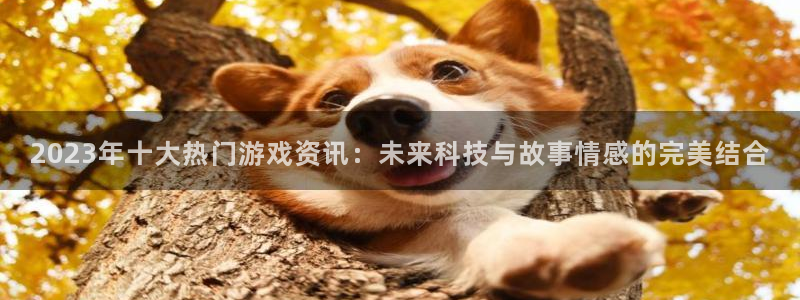 鼎点娱乐是什么