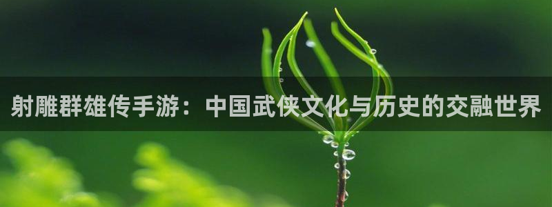 鼎点娱乐注册开户：射雕群雄传手游：中国武侠文化与历史的交融世