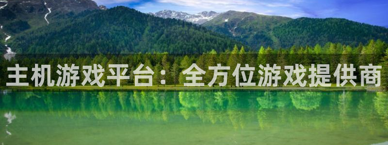 鼎点娱乐网页登录入口下载：主机游戏平台：全方位游戏提供商