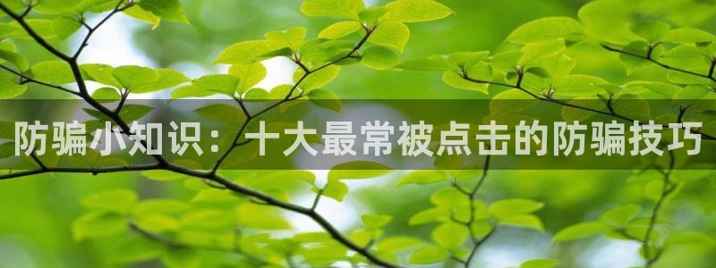 鼎点娱乐线路测试：防骗小知识：十大最常被点击的防骗技巧