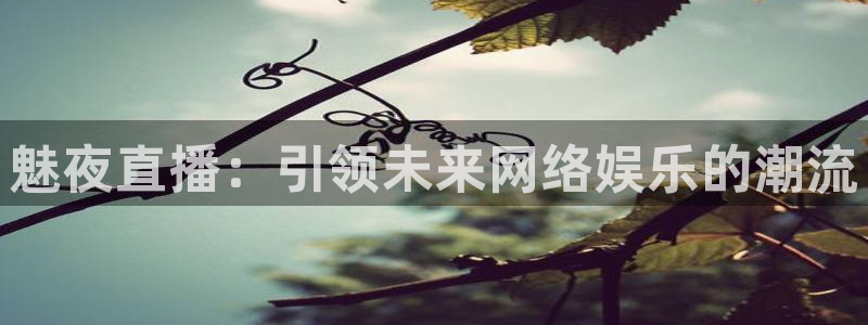 柠檬视频直播：魅夜直播：引领未来网络娱乐的潮流