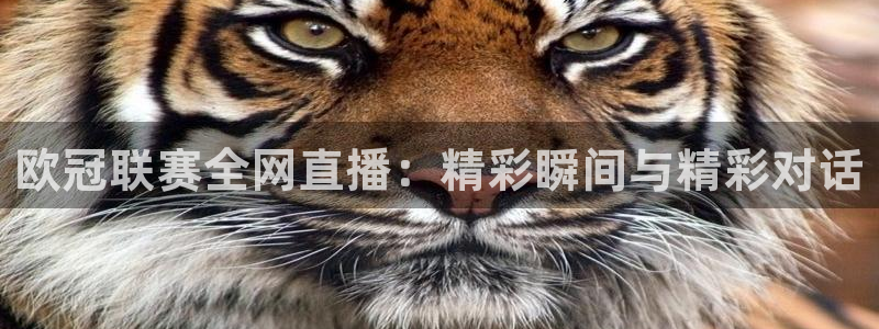 柠檬体育直播官网：欧冠联赛全网直播：精彩瞬间与精彩对话