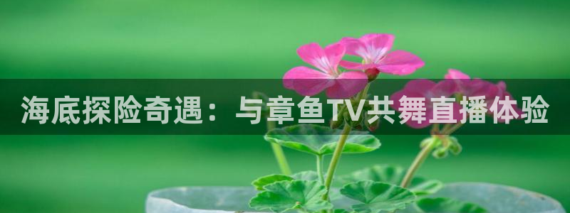 柠檬直播足球直播：海底探险奇遇：与章鱼TV共舞直播体验