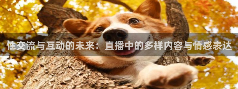 柠檬体育免费高清直播：性交流与互动的未来：直播中的多样内容与情感表达