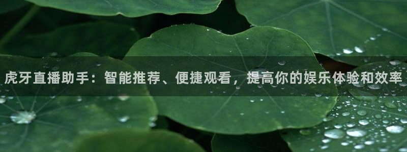 柠檬足球直播：虎牙直播助手：智能推荐、便捷观看，提高你的娱乐体验和效率