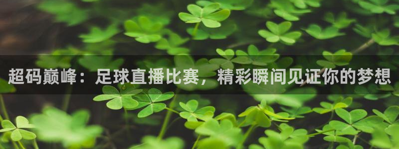 篮球比赛直播在线观看柠檬直播：超码巅峰：足球直播比赛，精彩瞬间见证你的梦想