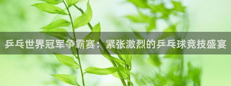 柠檬体育直播足球直播：乒乓世界冠军争霸赛：紧张激烈的乒乓球竞技盛宴