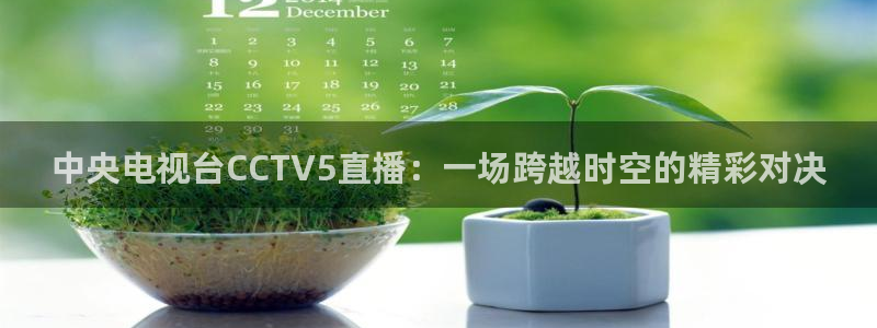柠檬体育免费直播：中央电视台CCTV5直播：一场跨越时空的精彩对决