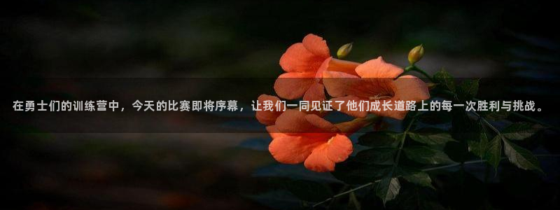 柠檬体育直播篮球：在勇士们的训练营中，今天的比赛即将序幕，让我们一同见证了他们成长道路上的每一次胜利与挑战。