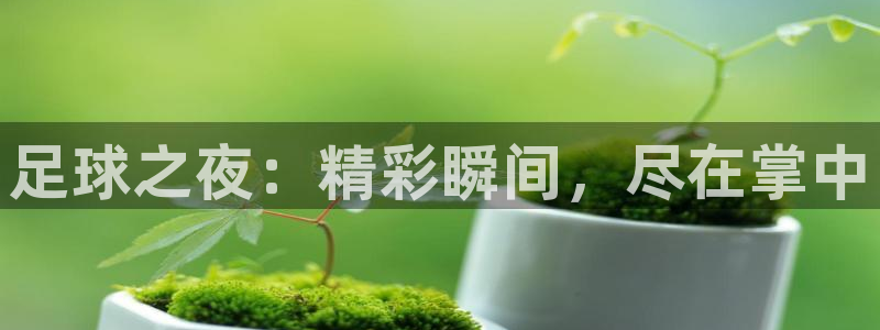 柠檬直播nba体育：足球之夜：精彩瞬间，尽在掌中