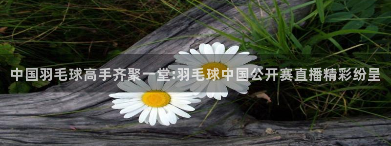 柠檬直播足球赛事：中国羽毛球高手齐聚一堂:羽毛球中国公开赛直播精彩纷呈