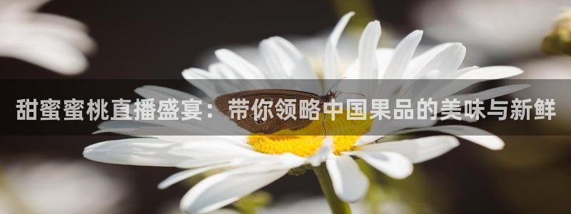 柠檬直播nba：甜蜜蜜桃直播盛宴：带你领略中国果品的美味与新鲜