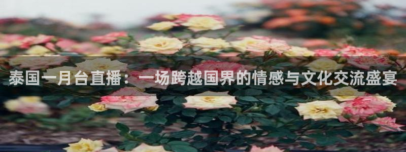 柠檬直播